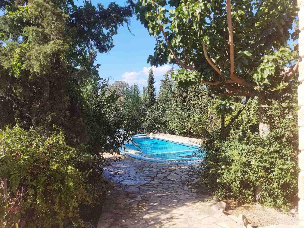 Villa Elia Pitsidia Dış mekan fotoğraf