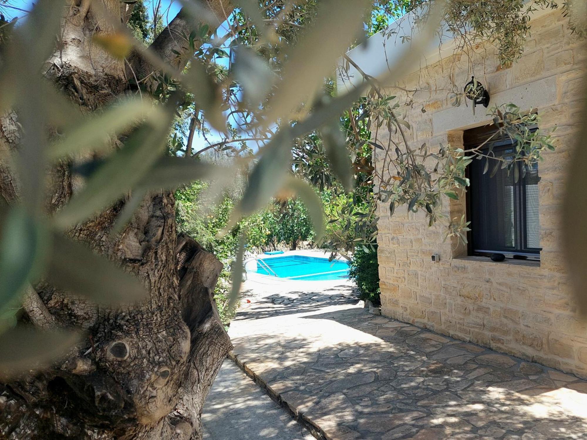 Villa Elia Pitsidia Dış mekan fotoğraf